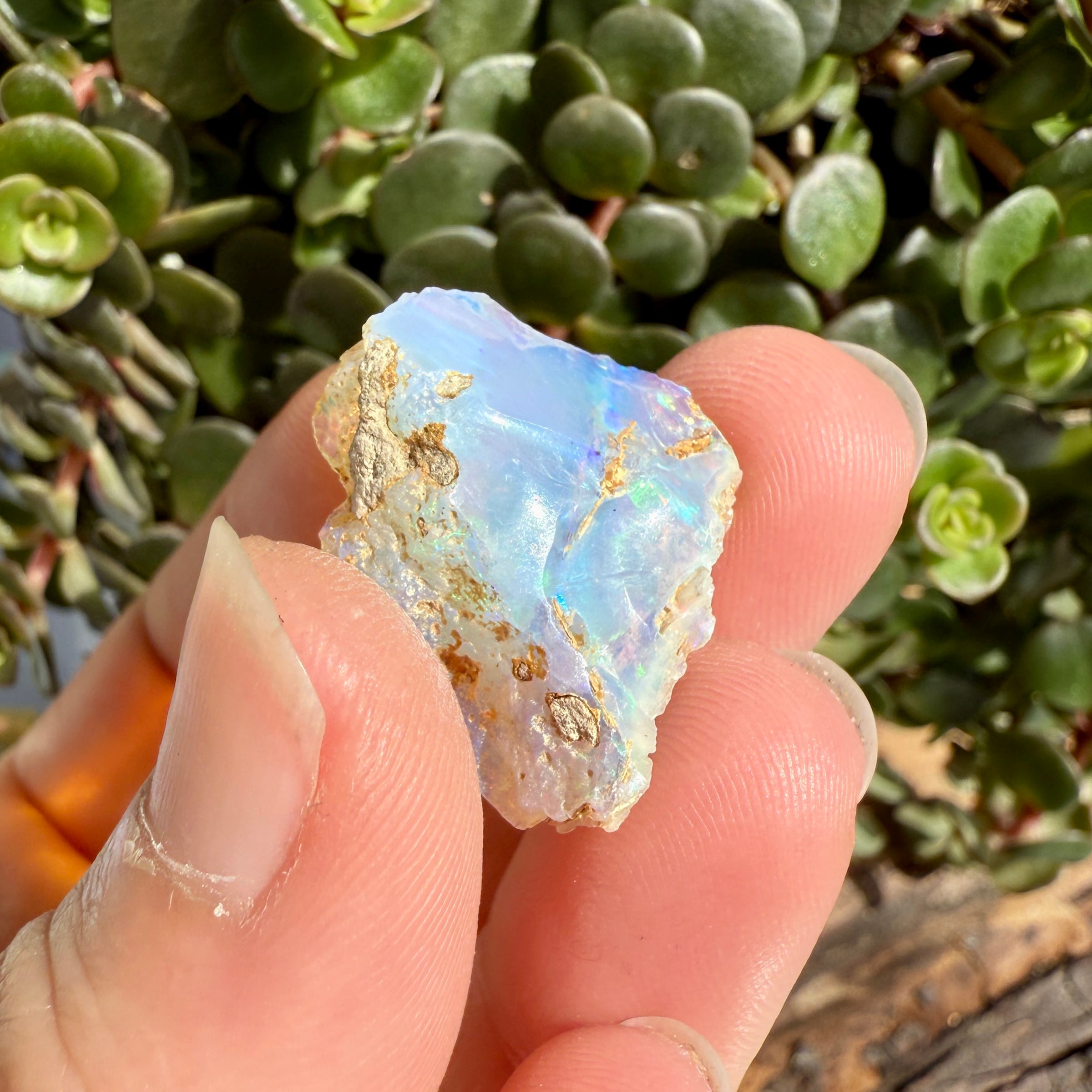 Opal - 12.5 Carats Natural Rough