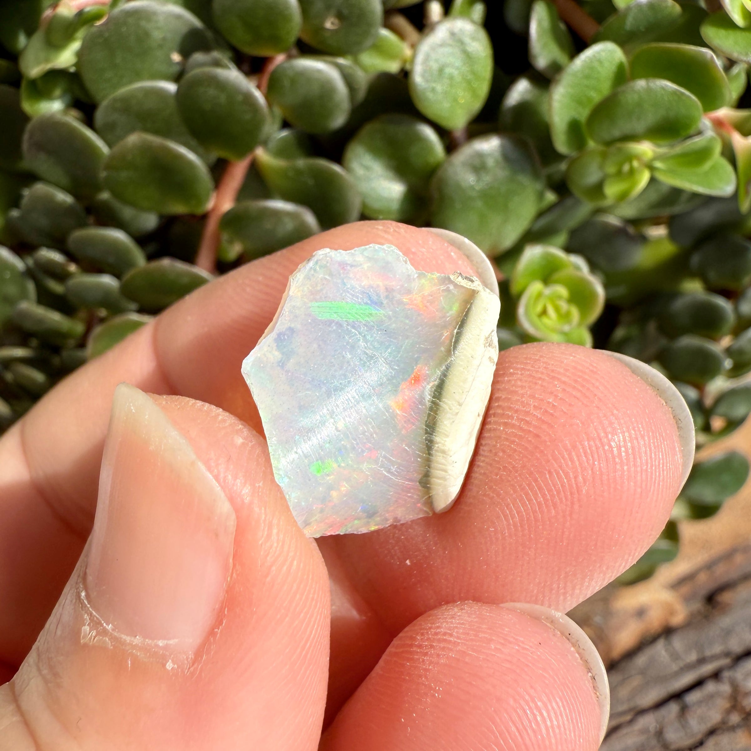 Opal - 6.7 Carats Natural Rough