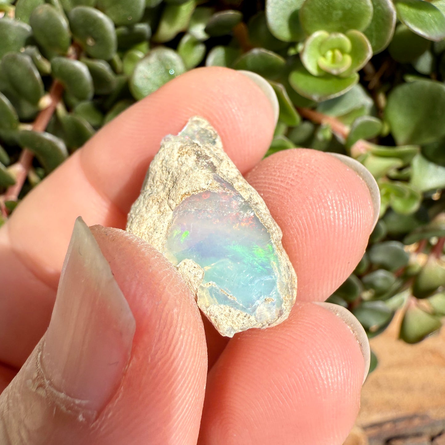 Opal - 9 Carats Natural Rough