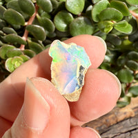 Opal - 6.8 Carats Natural Rough