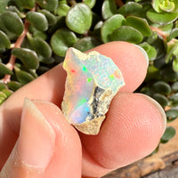 Opal - 6.8 Carats Natural Rough