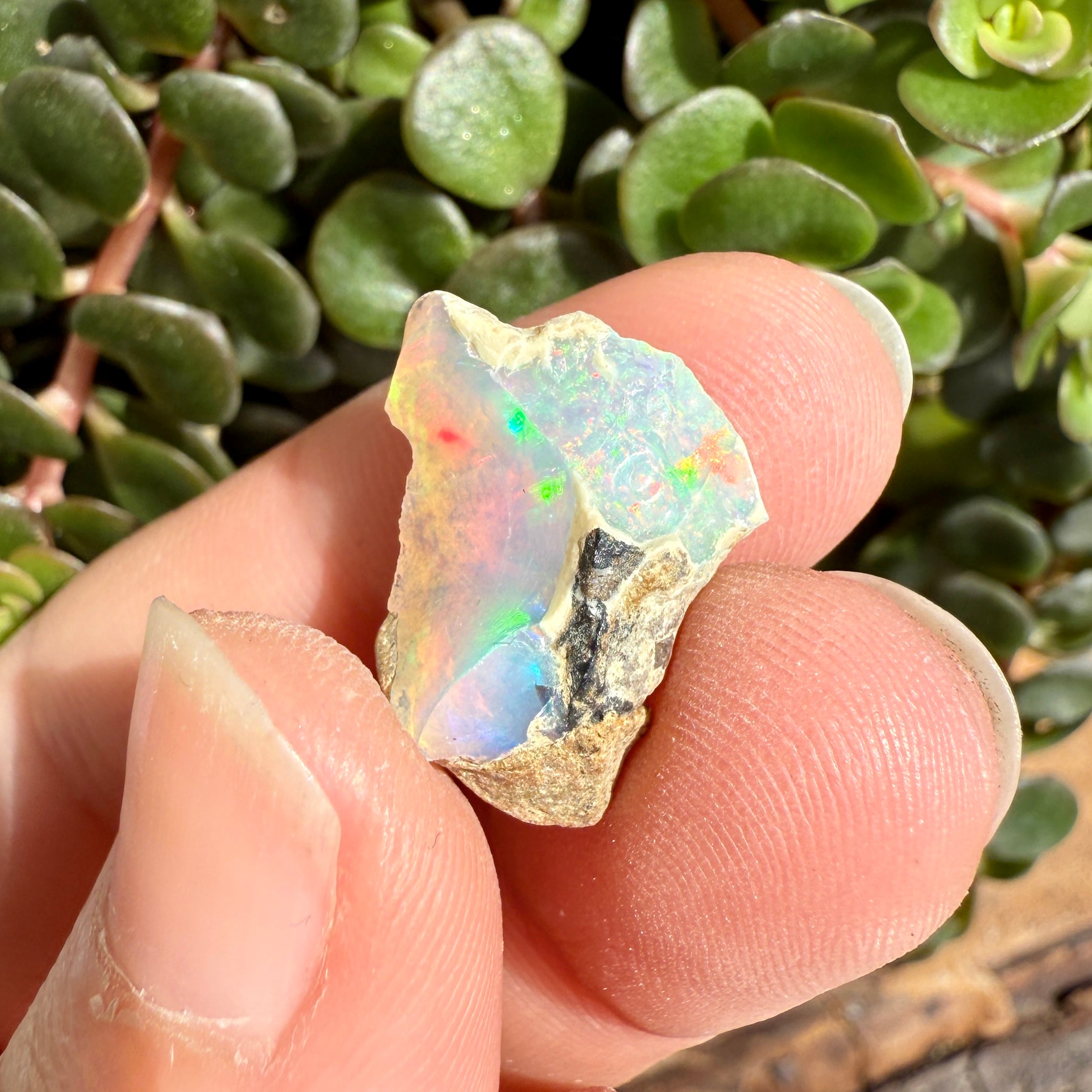 Opal - 6.8 Carats Natural Rough