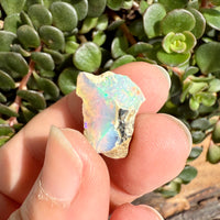 Opal - 6.8 Carats Natural Rough