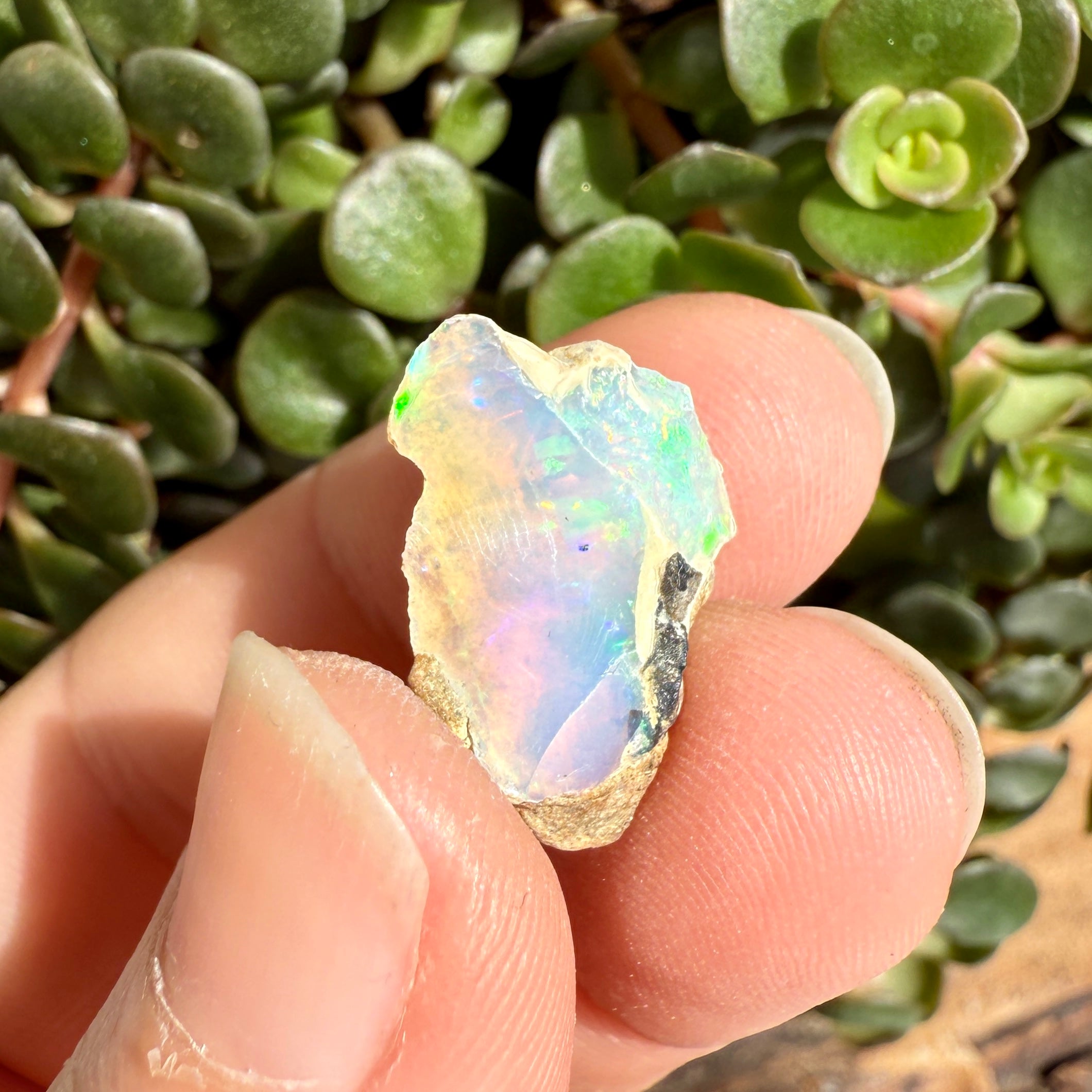 Opal - 6.8 Carats Natural Rough