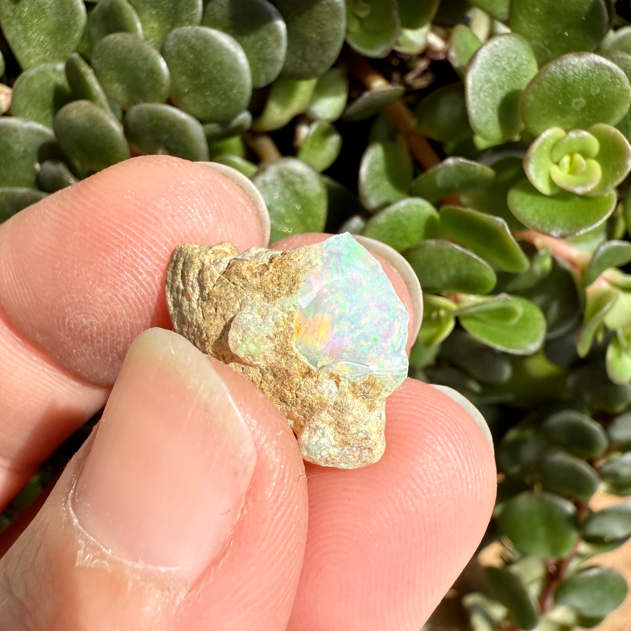 Opal - 6.8 Carats Natural Rough