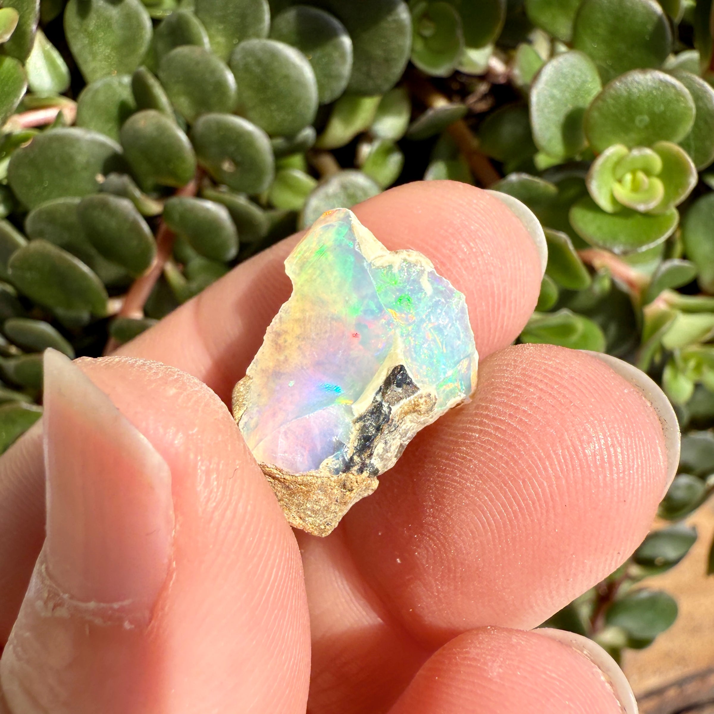 Opal - 6.8 Carats Natural Rough