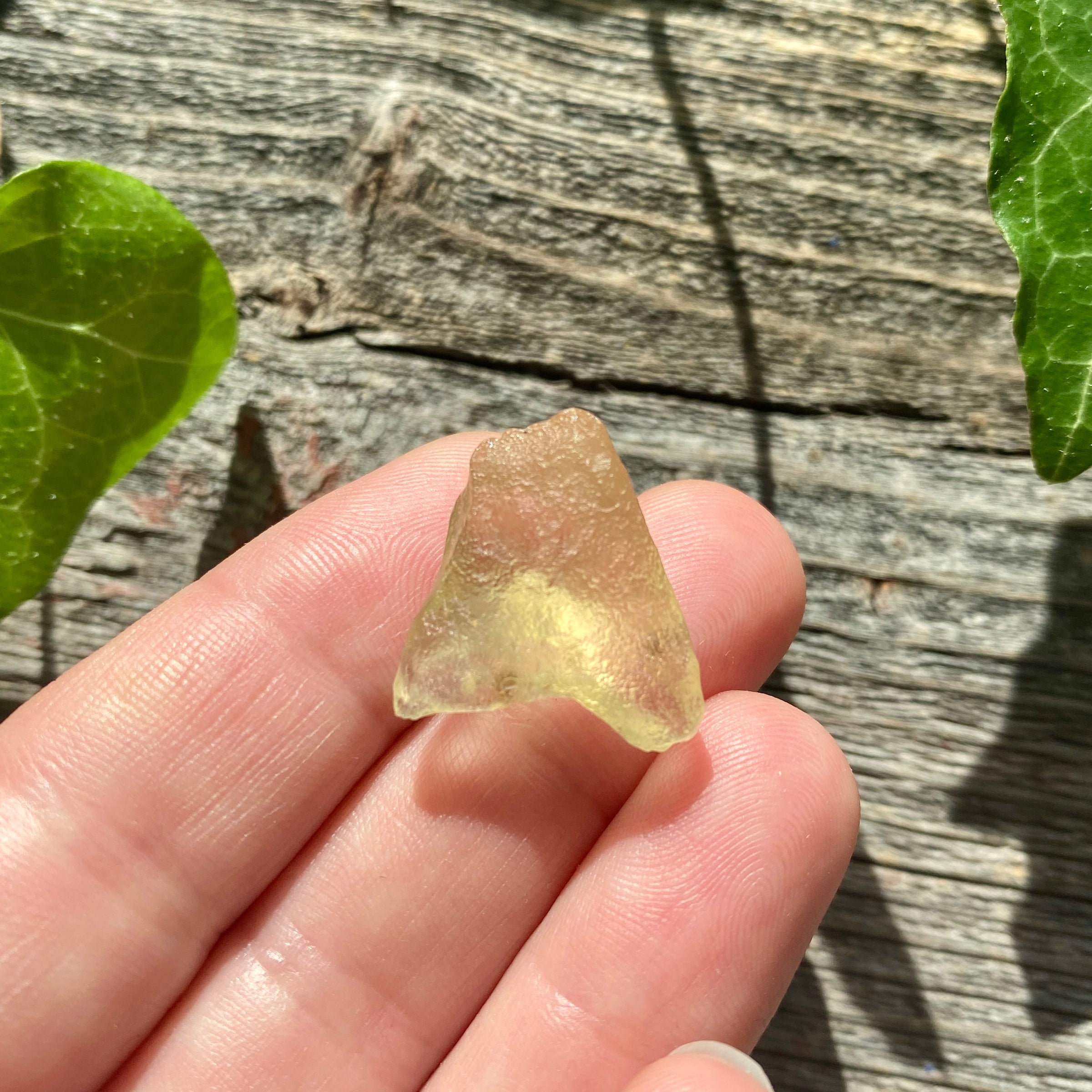 Libyan Gold Tektite - 2