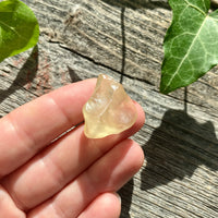 Libyan Gold Tektite - 8