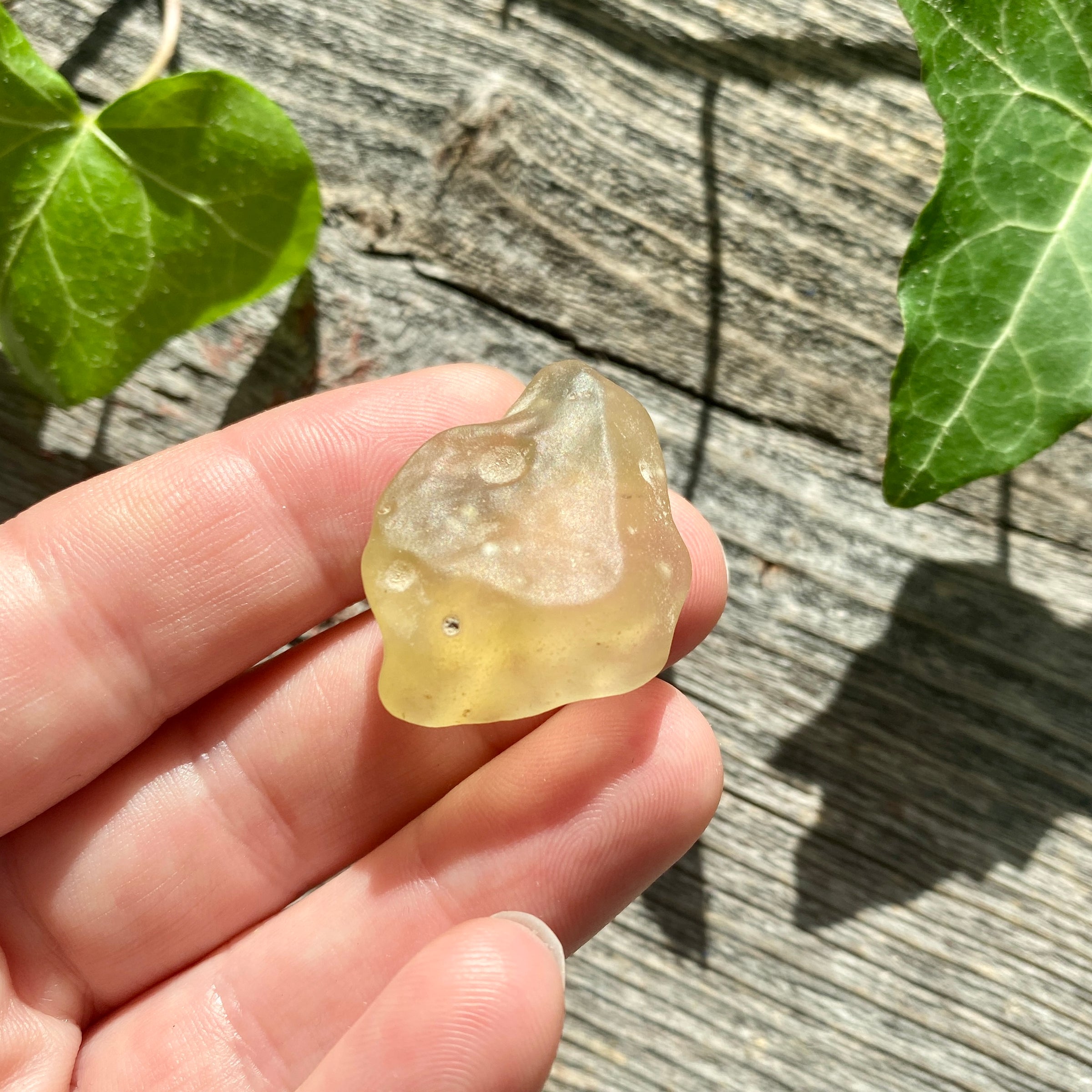 Libyan Gold Tektite - 9