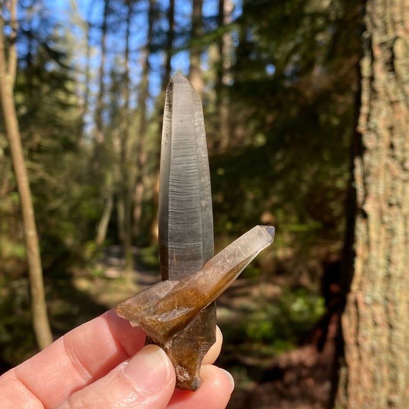 Forest Crystals Actinolite Phantom Quartz from Canada