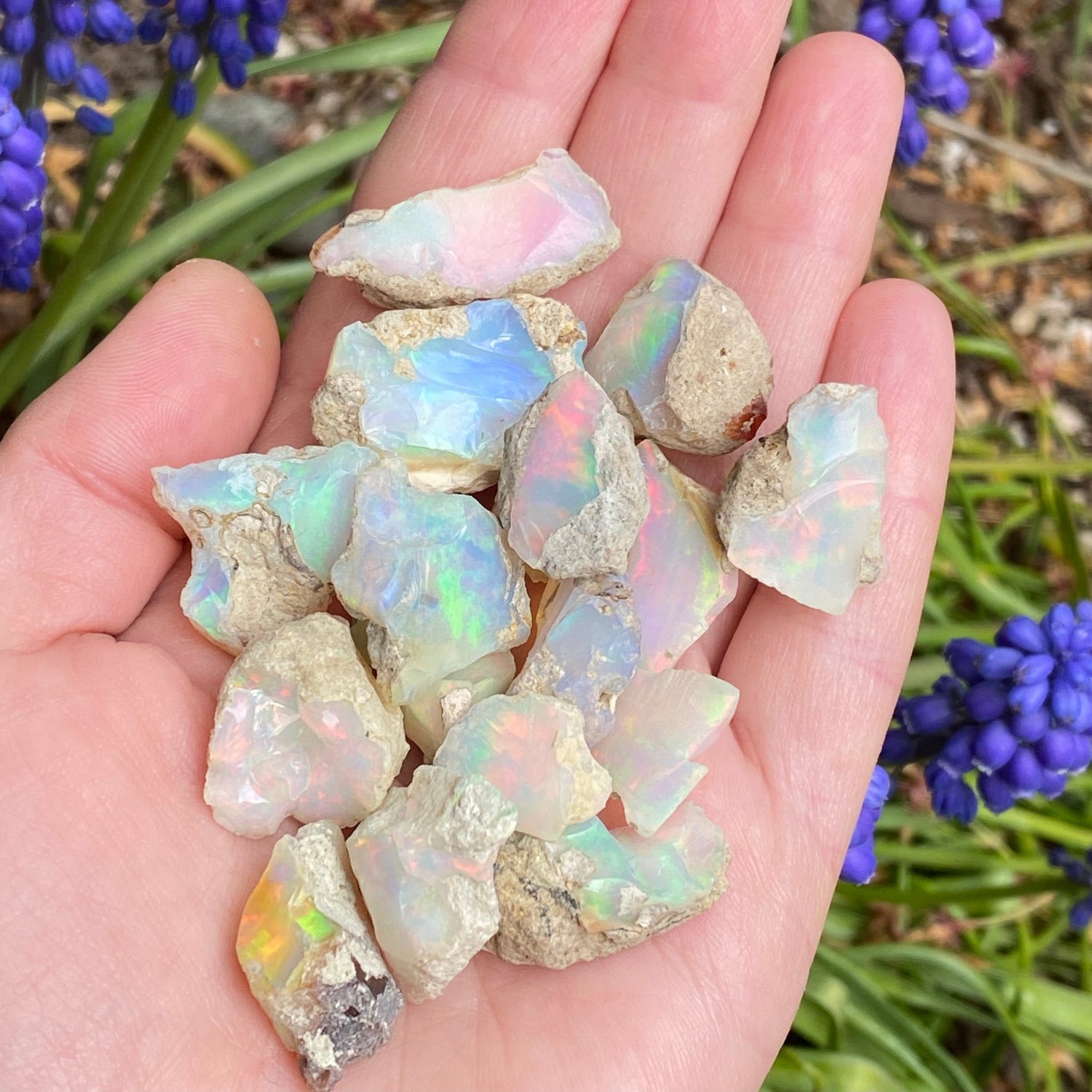 Opals