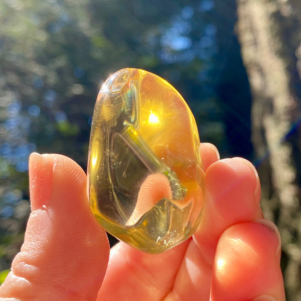 Natural Citrine Collection