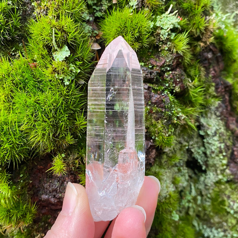 Lemurian Quartz Crystal Collection