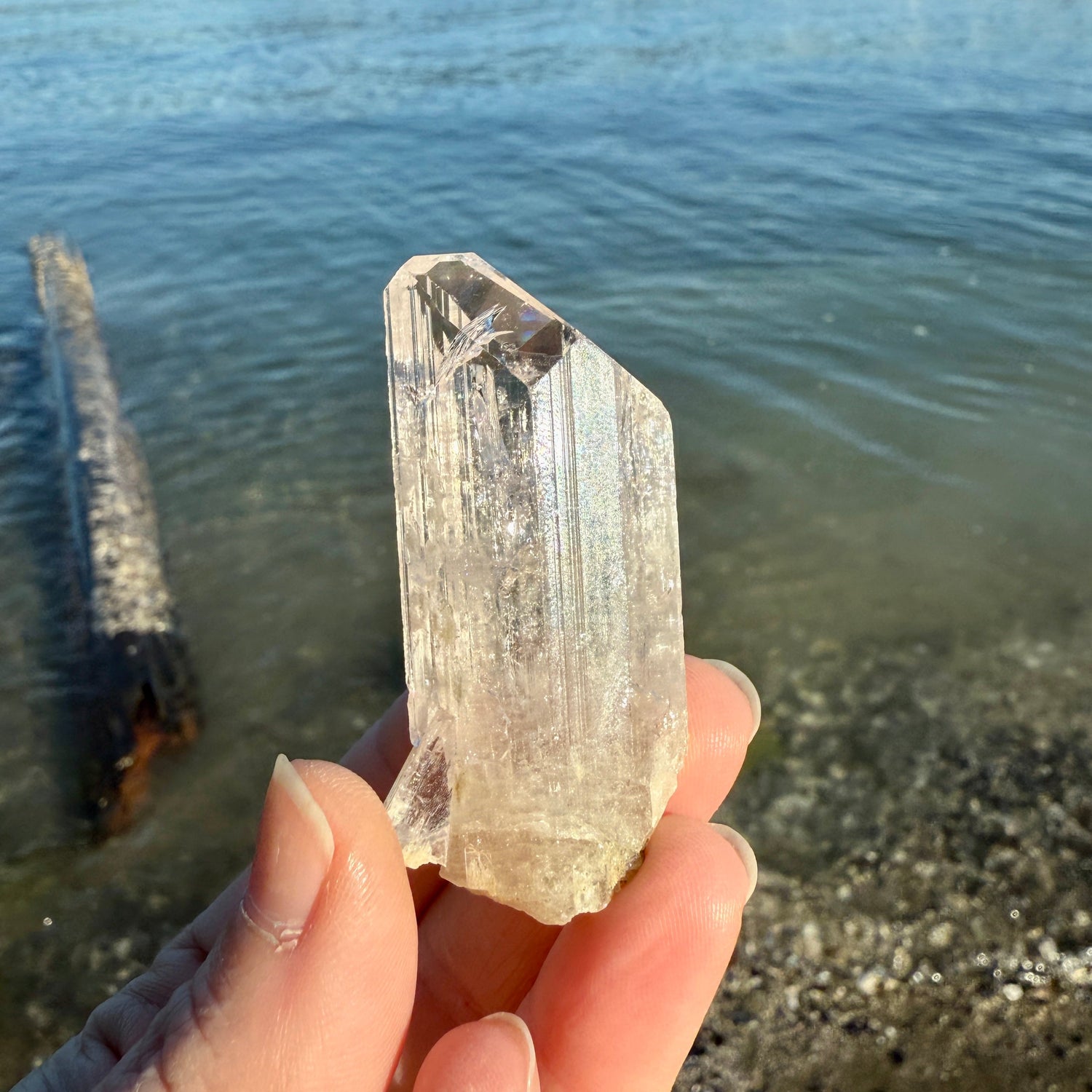 Danburite crystals collection