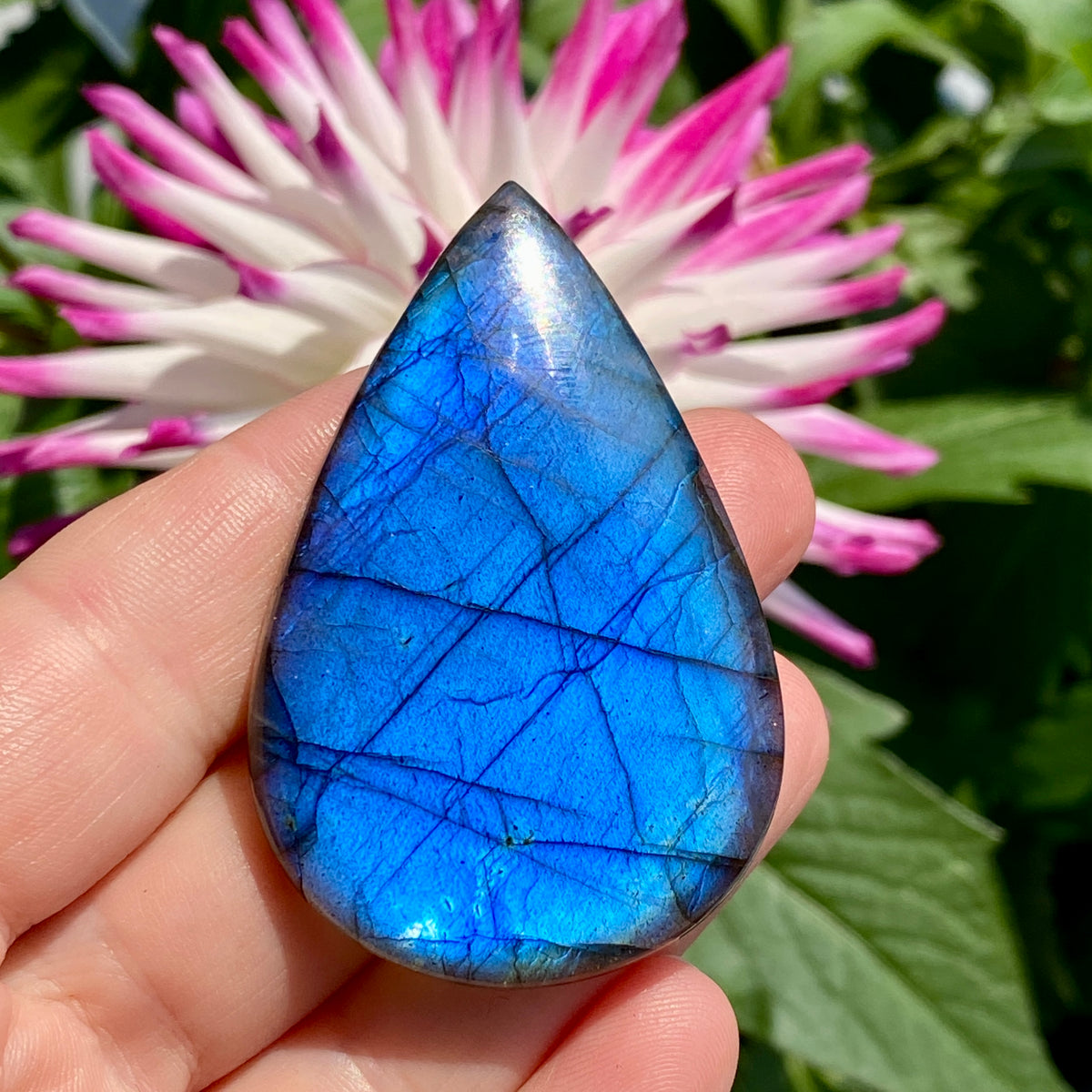 Labradorite stone collection