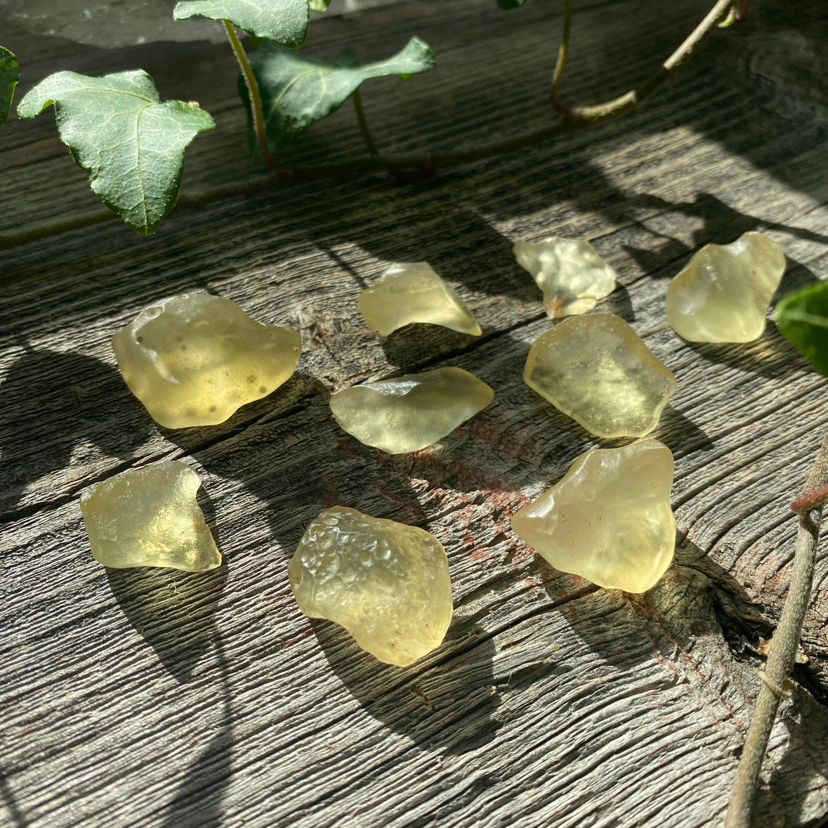 Libyan Desert Glass