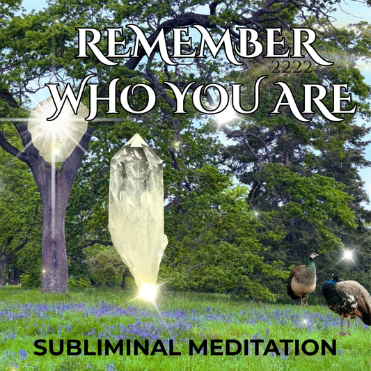 Remember Who You Are / Subliminal Meditation