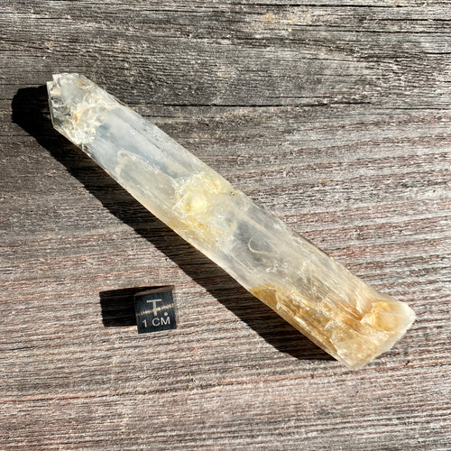 Golden Healer Blue Smoke Lemurian Quartz - 13