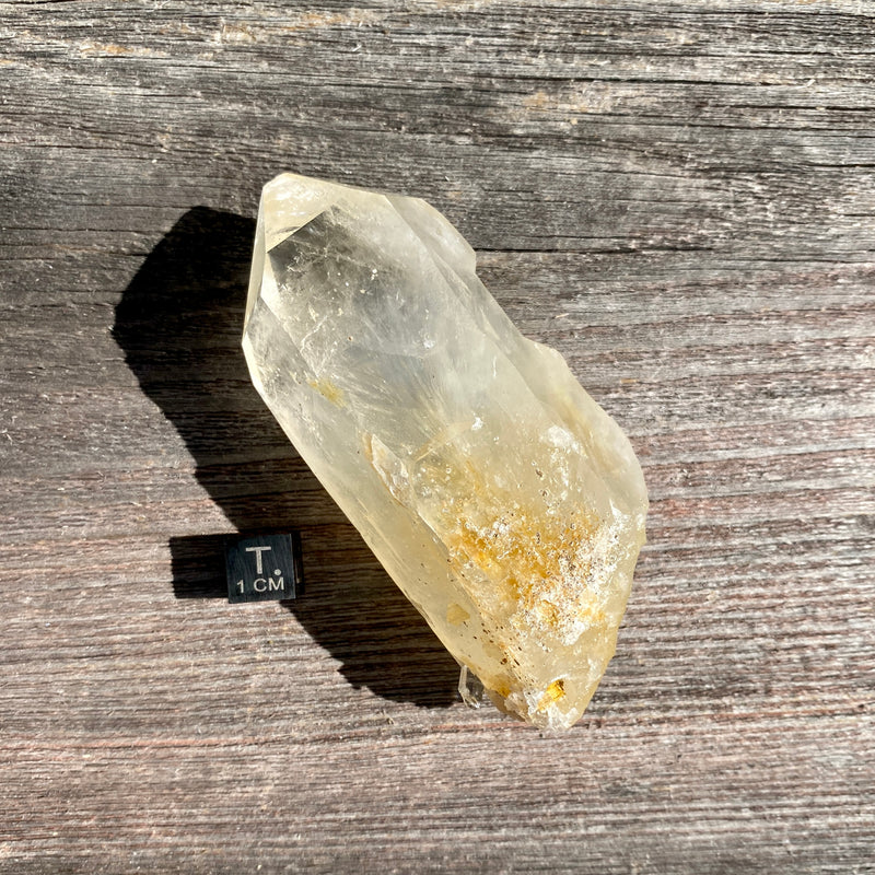 Golden Healer Lemurian Quartz - 7