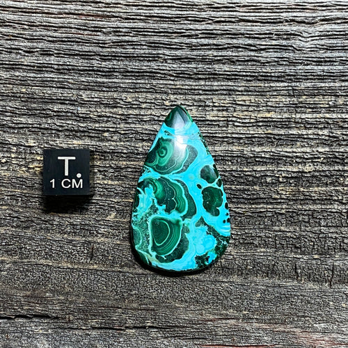 Malachite and Chrysocolla Cabochon - 1