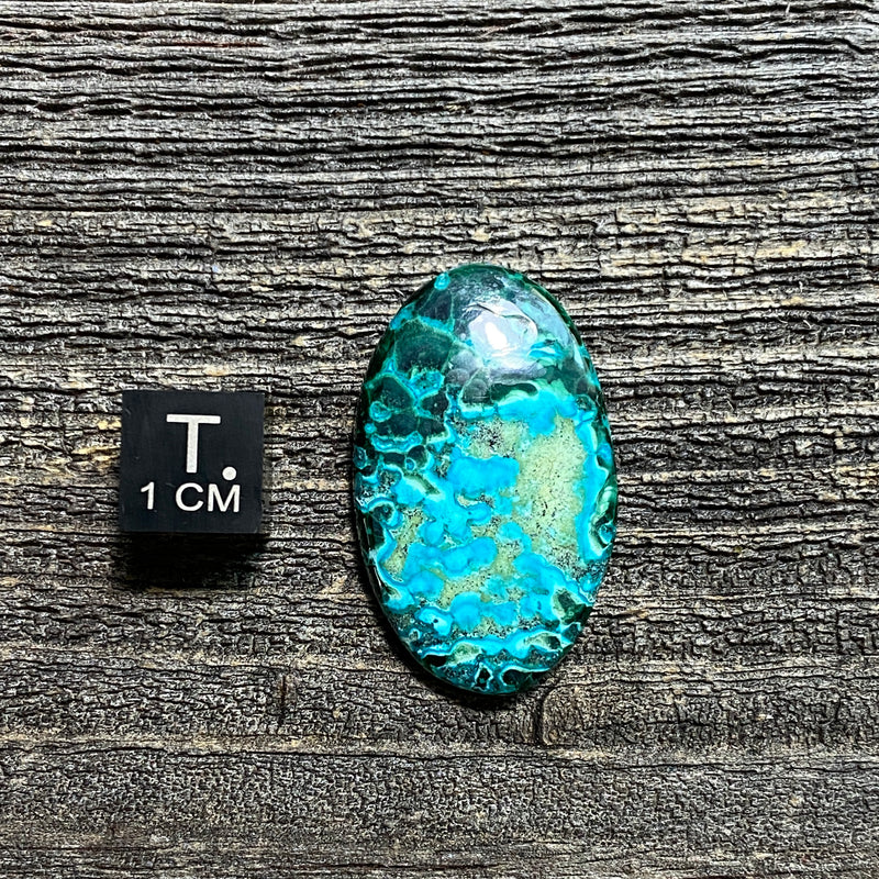 Malachite and Chrysocolla Cabochon - 3