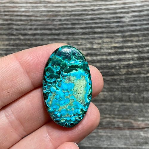 Malachite and Chrysocolla Cabochon - 3