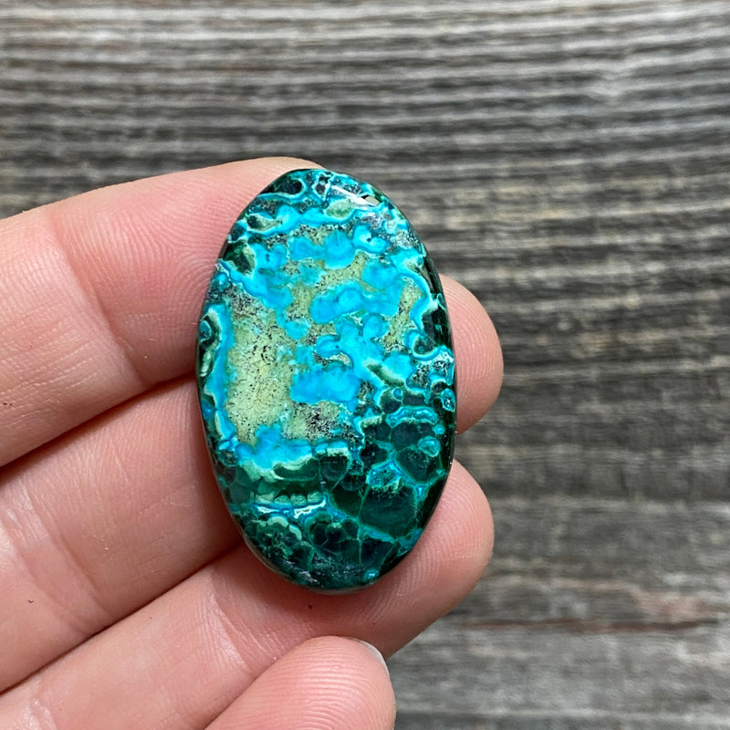 Malachite and Chrysocolla Cabochon - 3