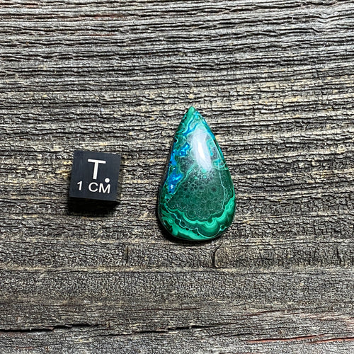 Malachite and Chrysocolla Cabochon - 4