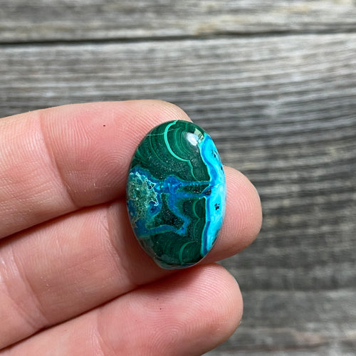 Malachite and Chrysocolla Cabochon - 5