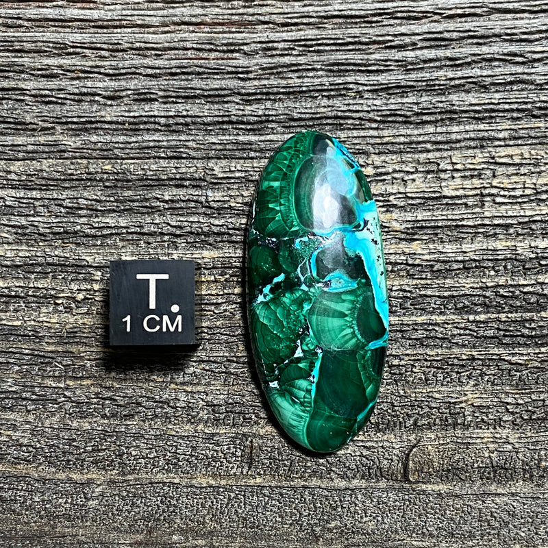Malachite and Chrysocolla Cabochon - 10