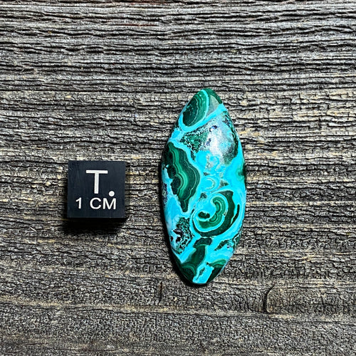 Malachite and Chrysocolla Cabochon - 11