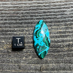 Malachite and Chrysocolla Cabochon - 11