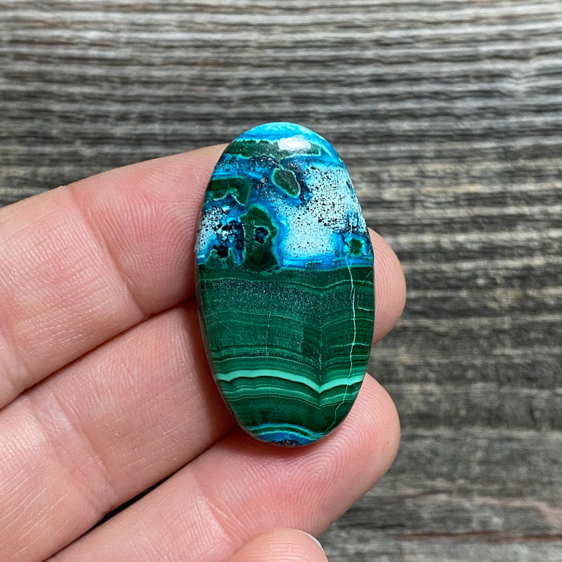Malachite and Chrysocolla Cabochon - 14