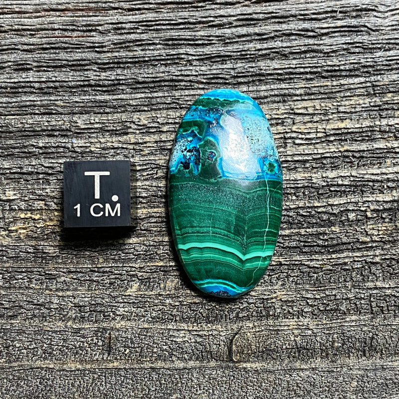 Malachite and Chrysocolla Cabochon - 14
