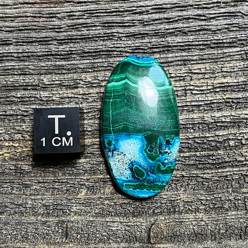 Malachite and Chrysocolla Cabochon - 14