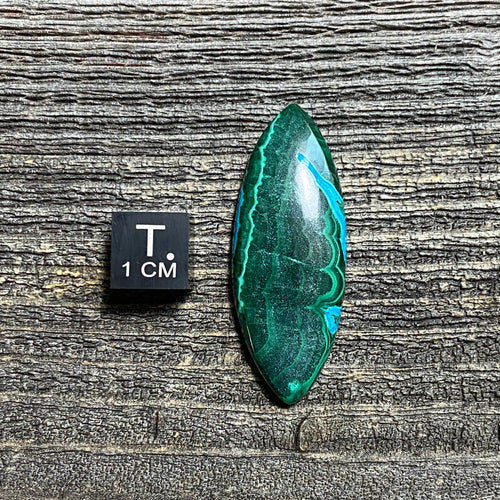 Malachite and Chrysocolla Cabochon - 15