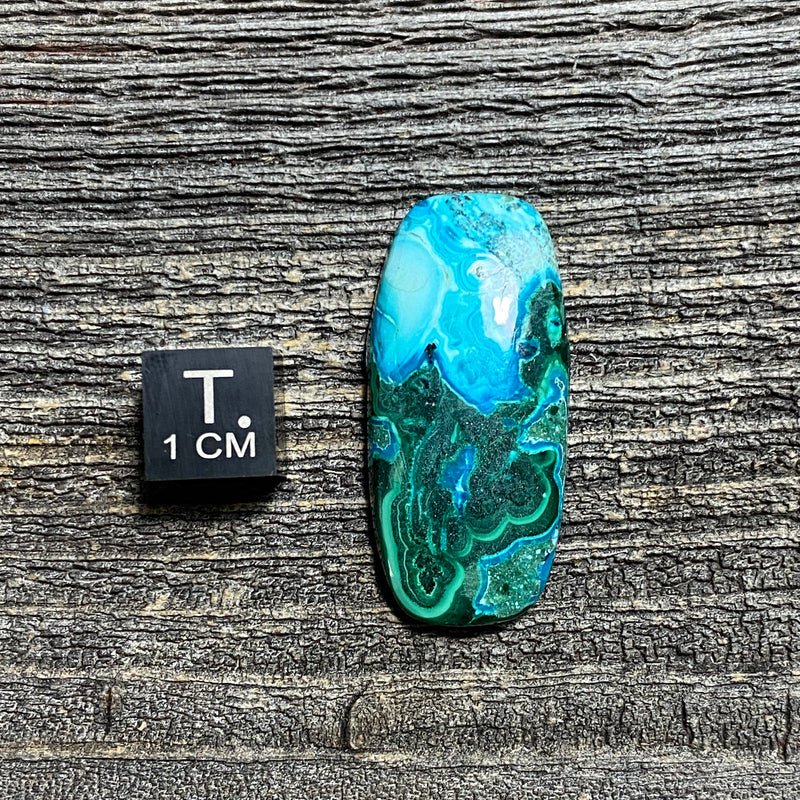 Malachite and Chrysocolla Cabochon - 16