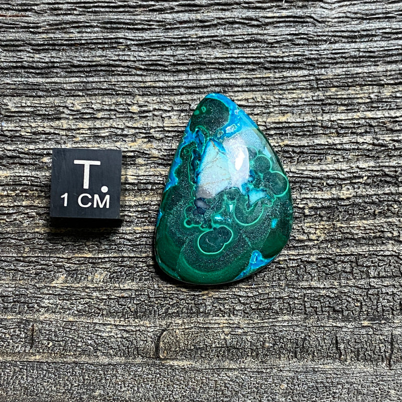 Malachite and Chrysocolla Cabochon - 18