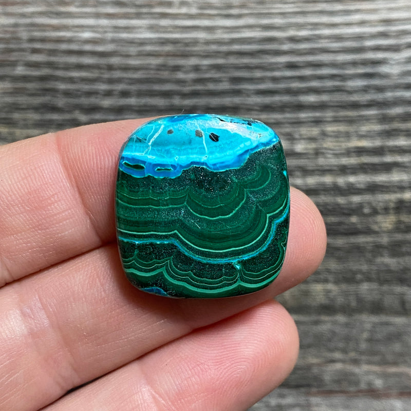 Malachite and Chrysocolla Cabochon - 19