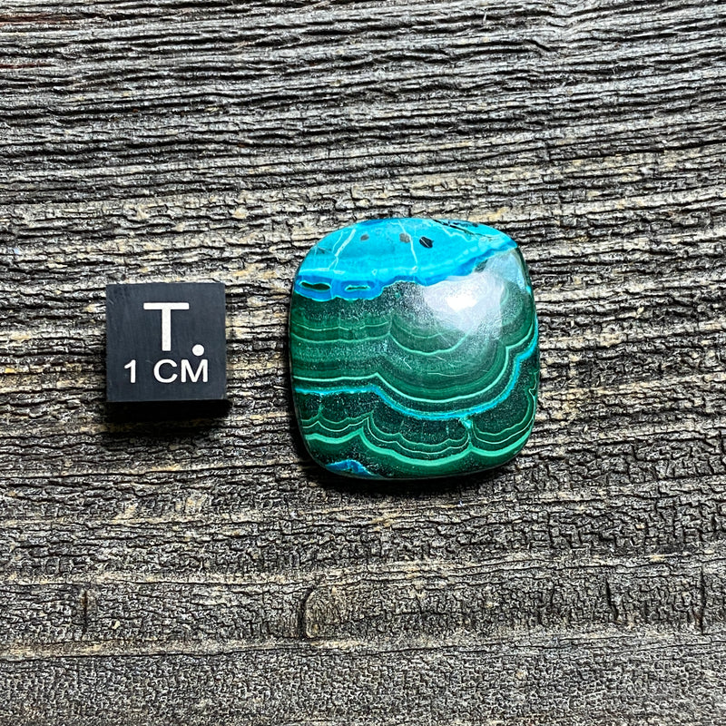 Malachite and Chrysocolla Cabochon - 19