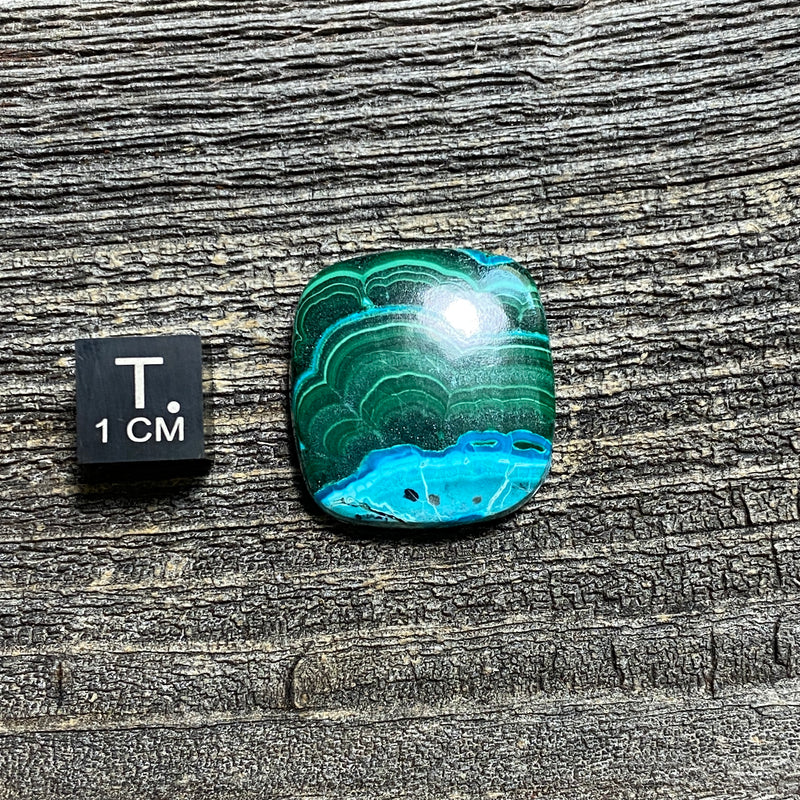 Malachite and Chrysocolla Cabochon - 19