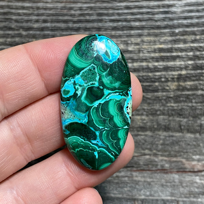 Malachite and Chrysocolla Cabochon - 23