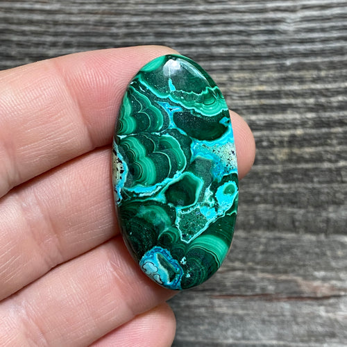 Malachite and Chrysocolla Cabochon - 23