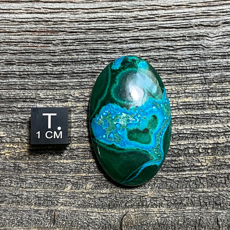 Malachite and Chrysocolla Cabochon - 27