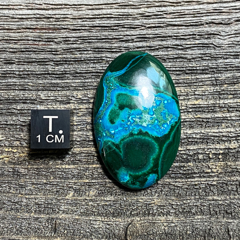 Malachite and Chrysocolla Cabochon - 27