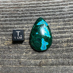 Malachite and Chrysocolla Cabochon - 29