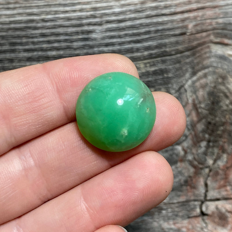 Chrysoprase Cabochon - 8