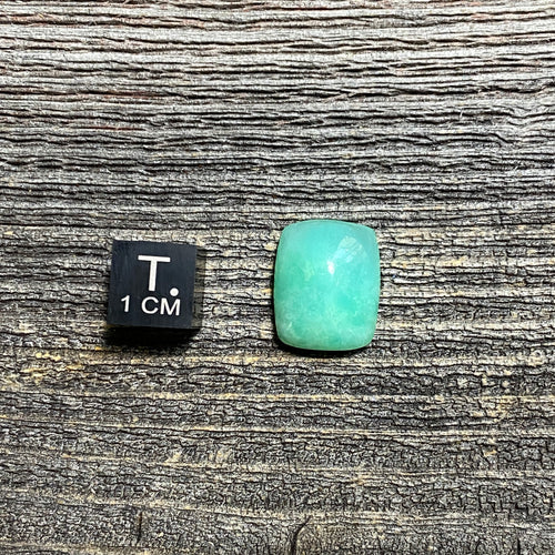 Chrysoprase Cabochon - 10