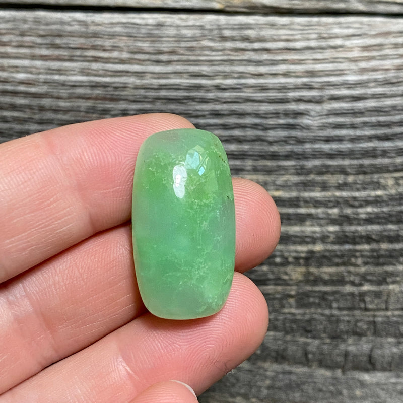 Chrysoprase Cabochon - 11