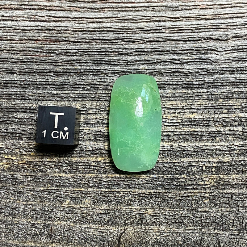 Chrysoprase Cabochon - 11
